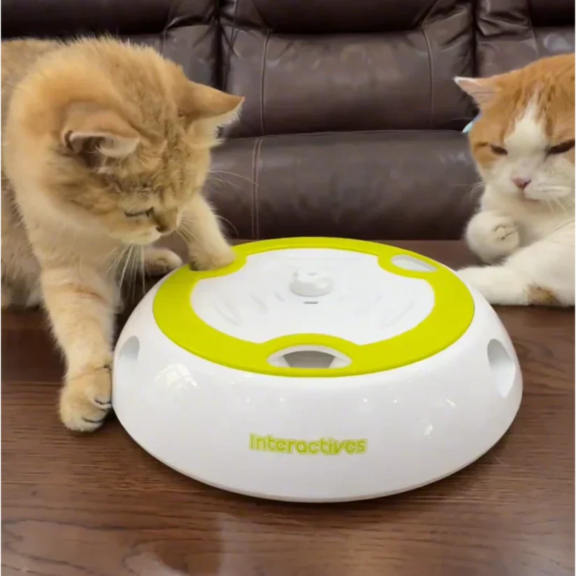 Hands Free Interactive Cat Toy