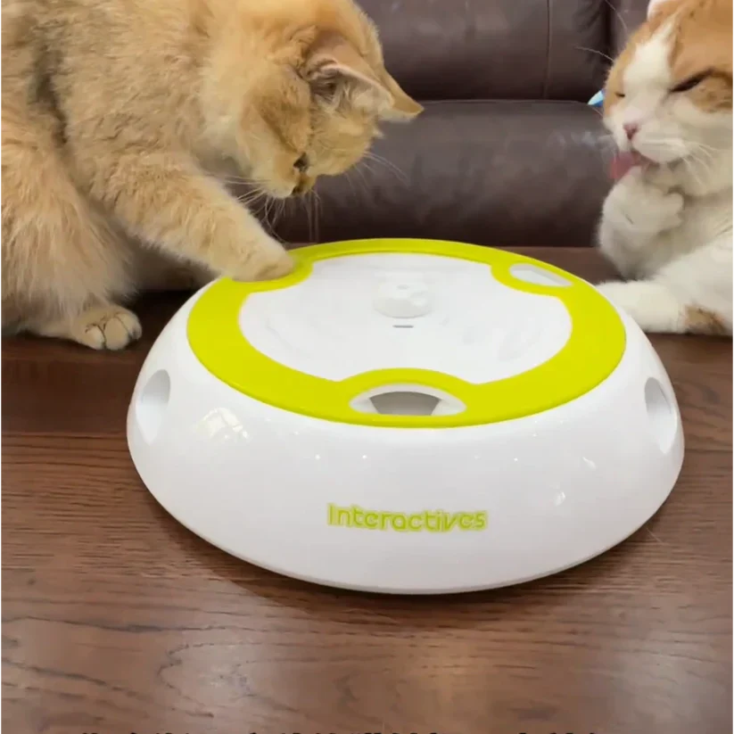 Hands Free Interactive Cat Toy
